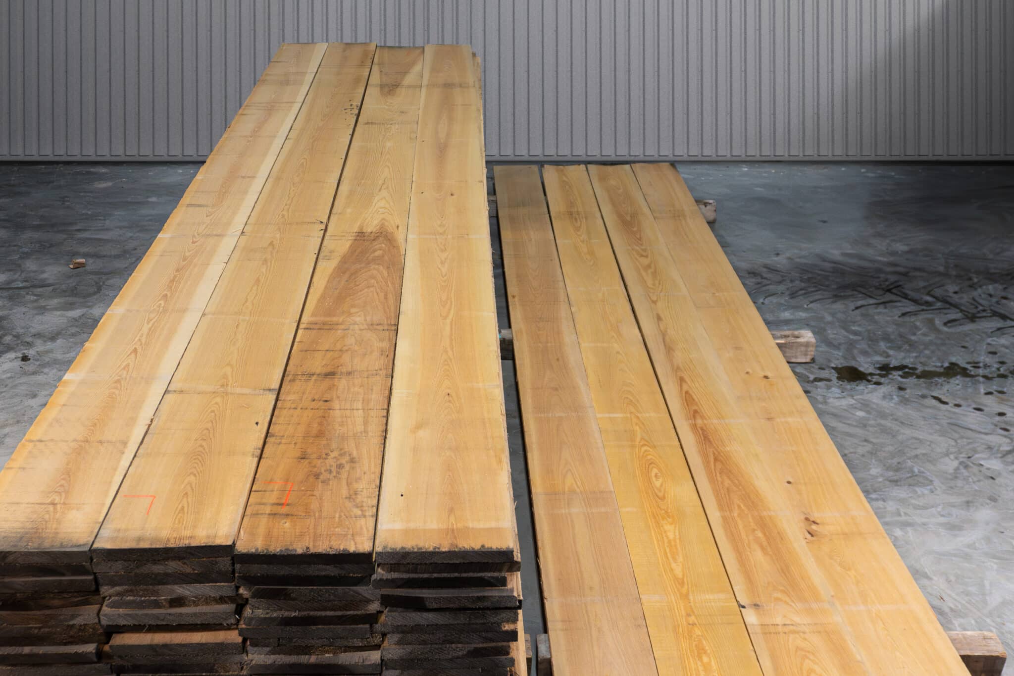 10" Select American Cypress 01