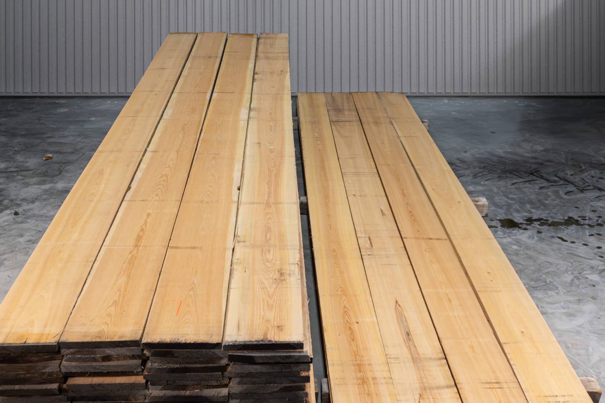 10" Select American Cypress 02