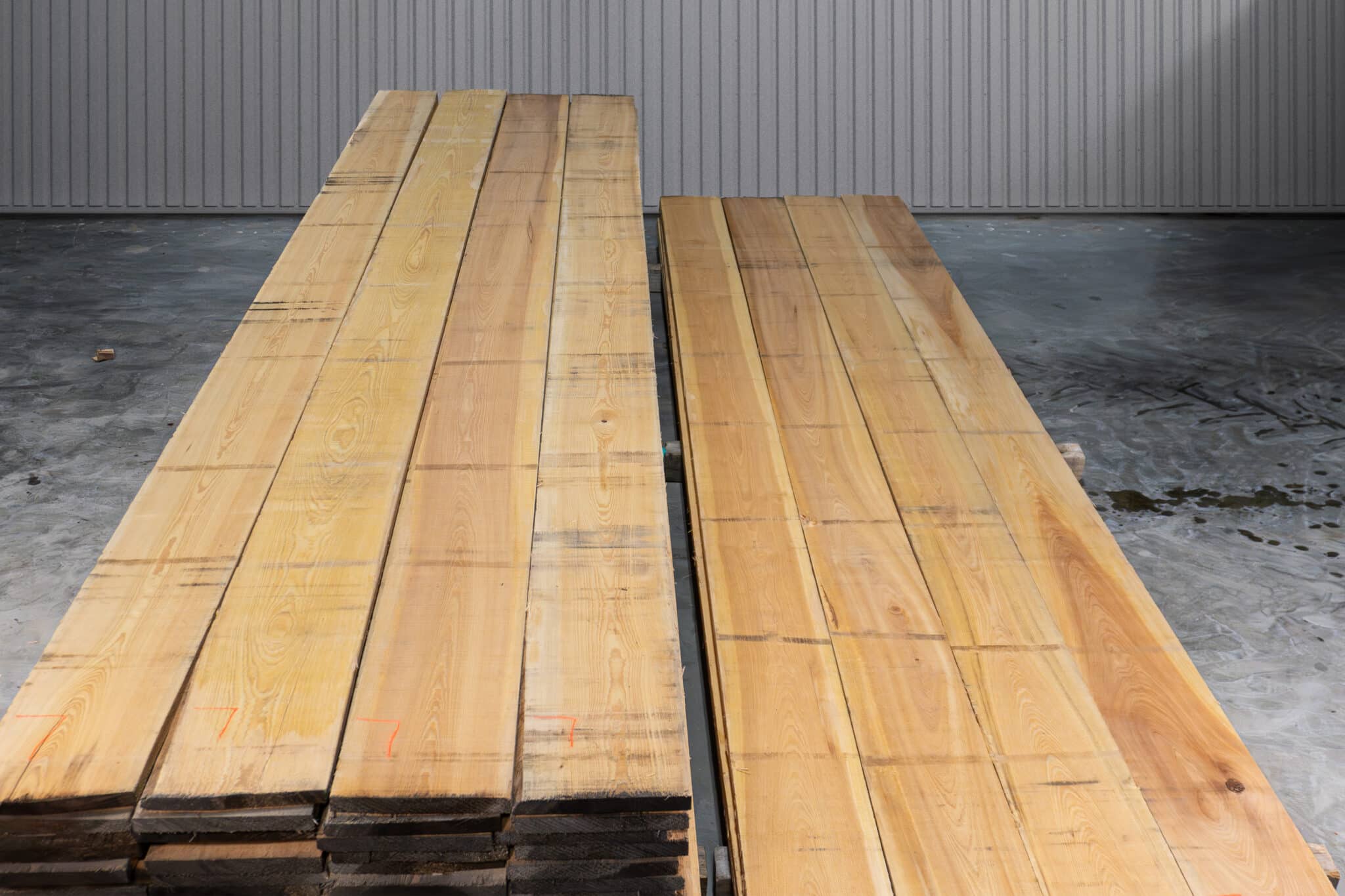 10" Select American Cypress 03