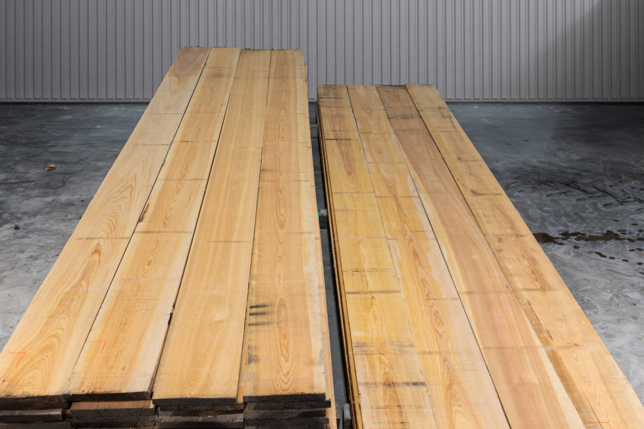 10" Select American Cypress 04