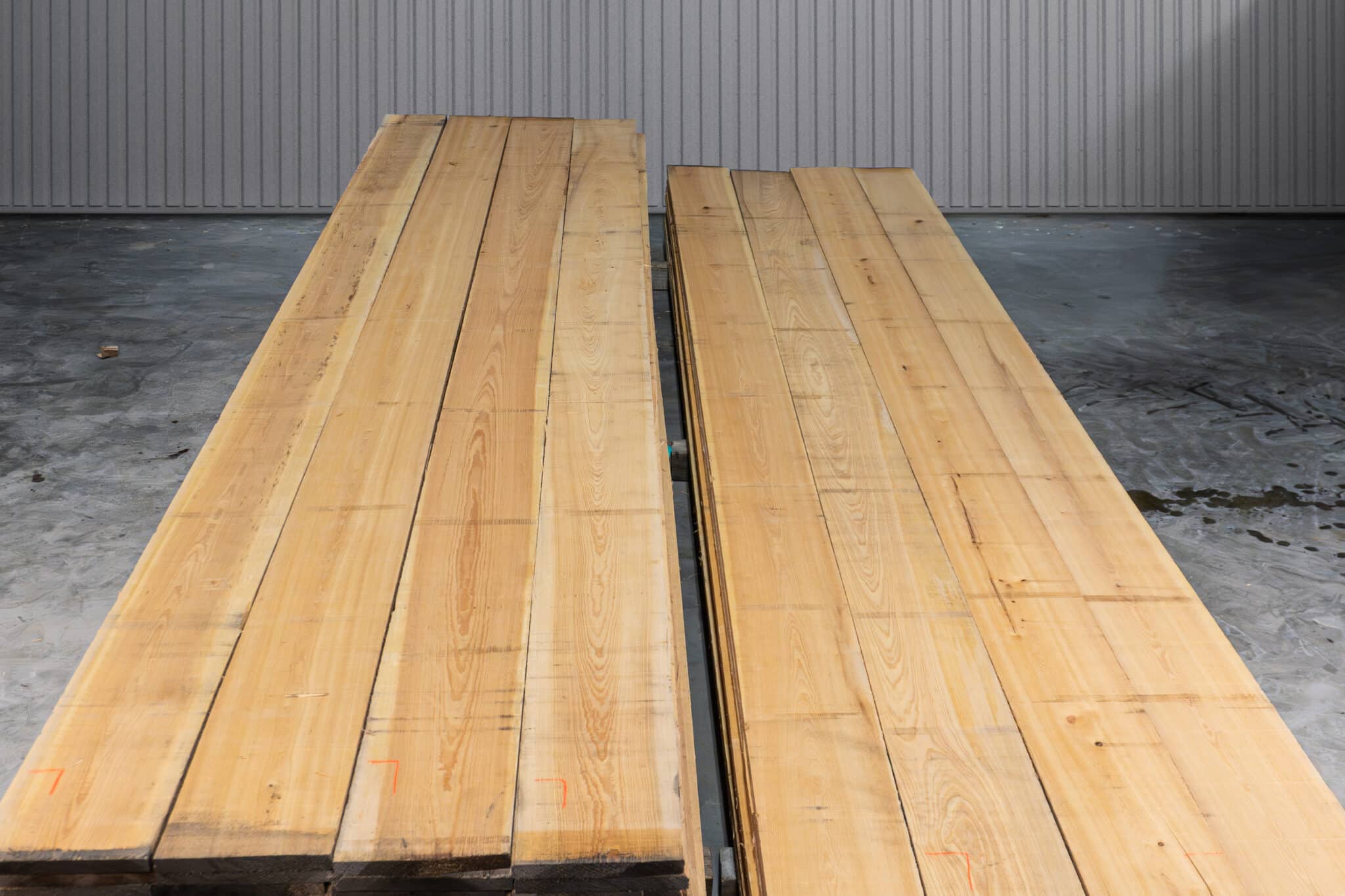 10" Select American Cypress 05