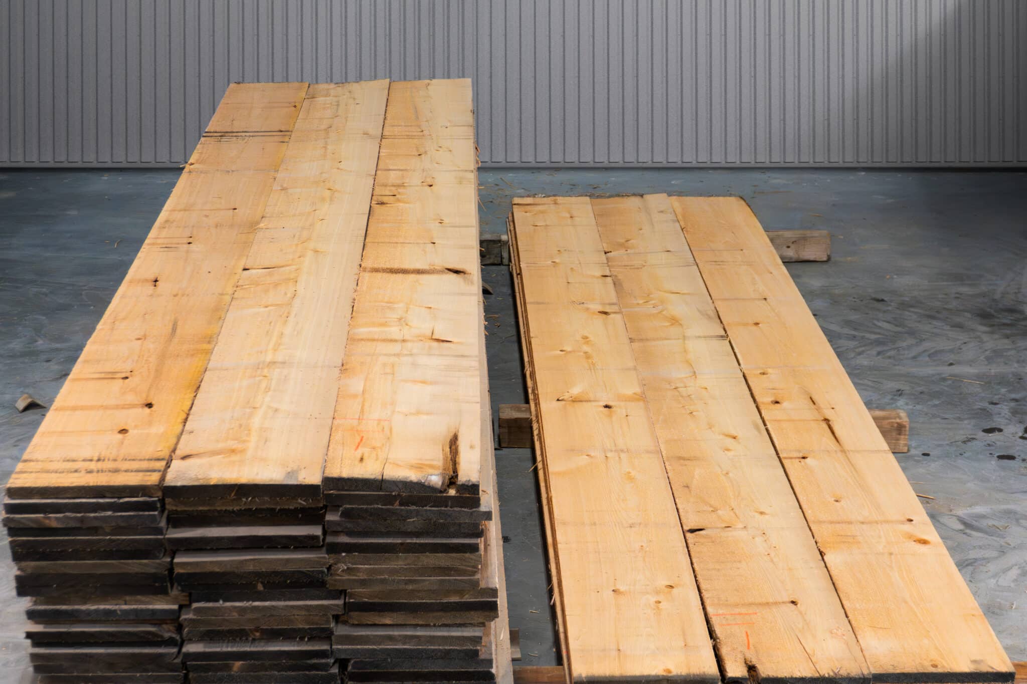 12" STK American White Cedar - 02