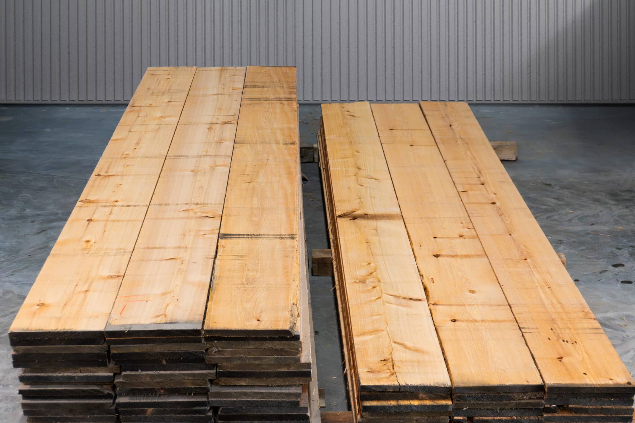 12" STK American White Cedar - 04