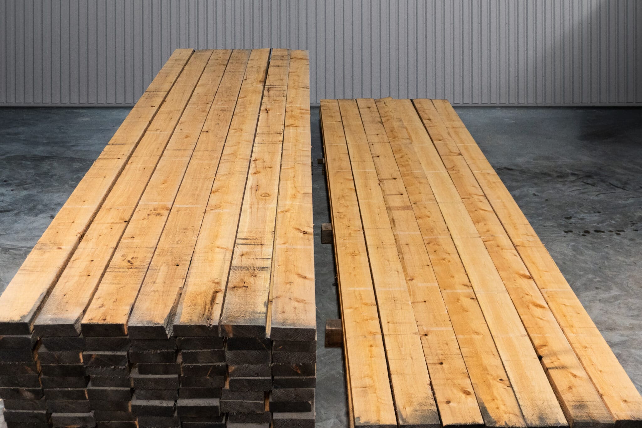 6" STK American White Cedar 01