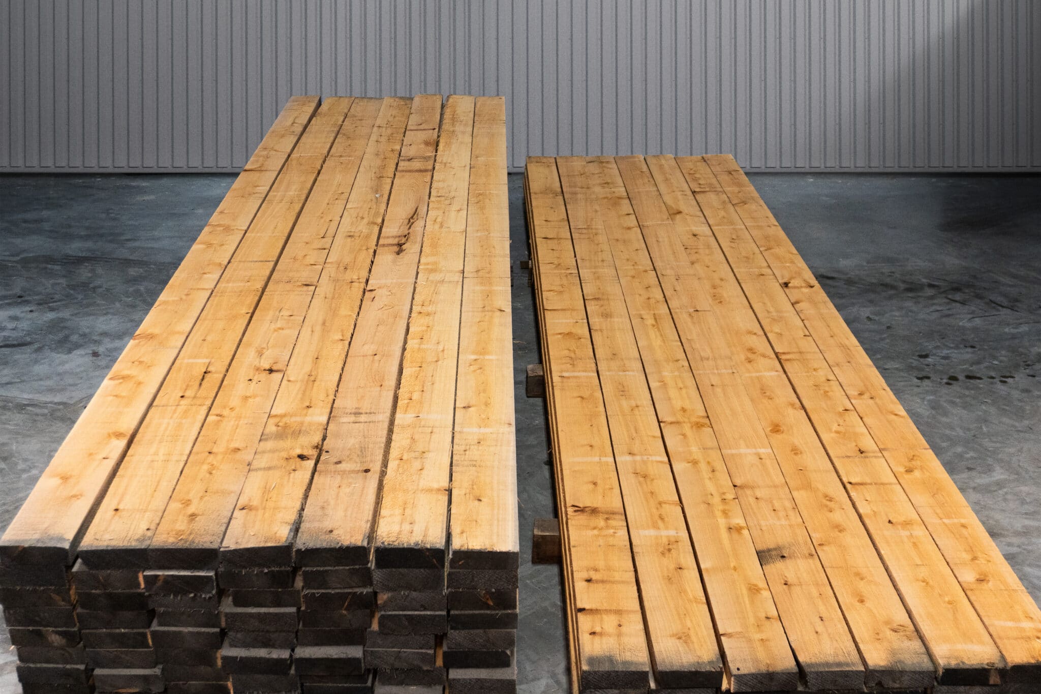 6" STK American White Cedar 02