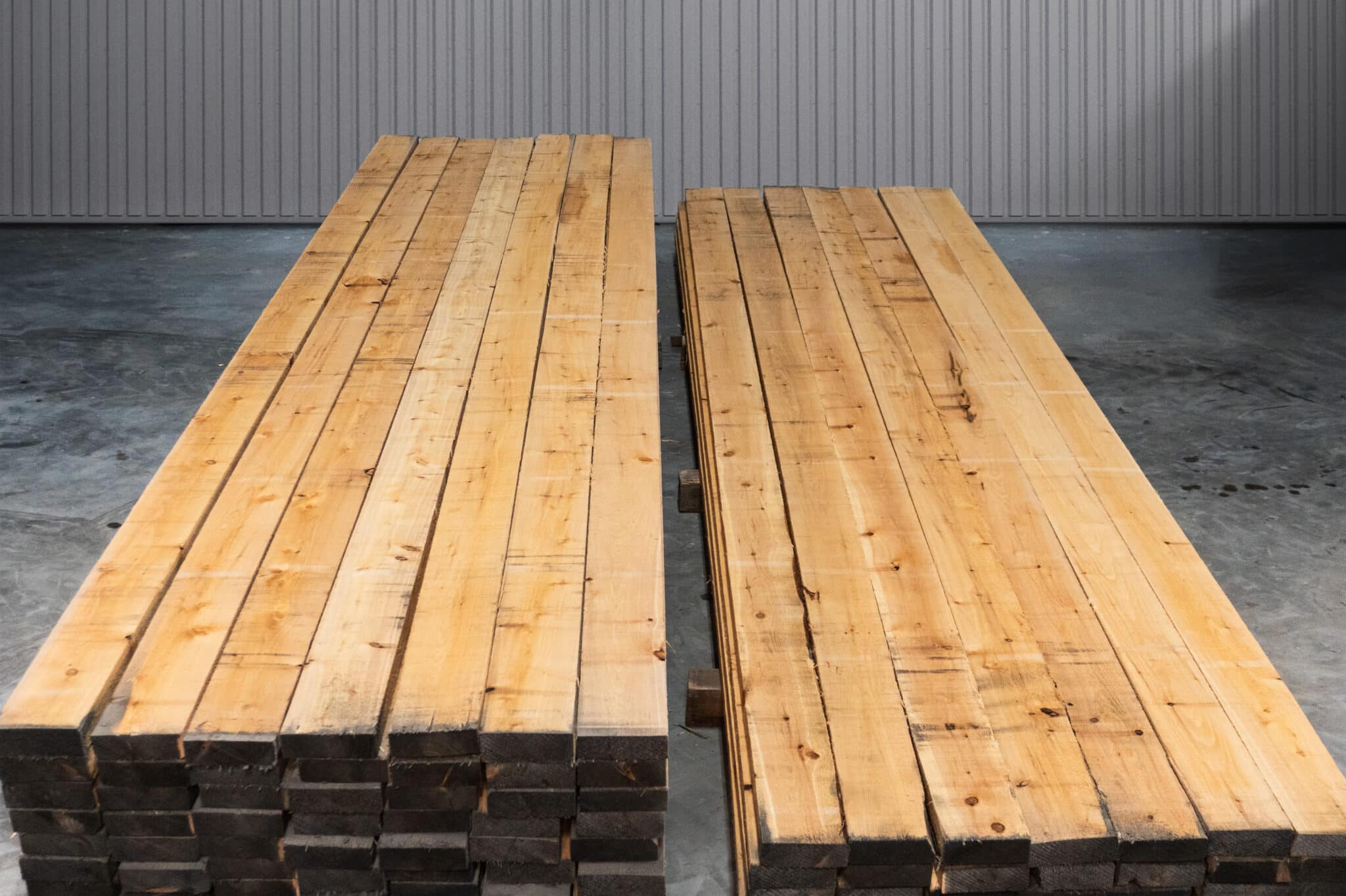 6" STK American White Cedar 03