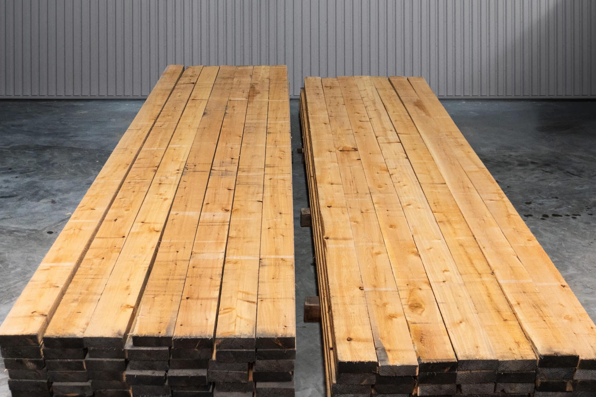 6" STK American White Cedar 04