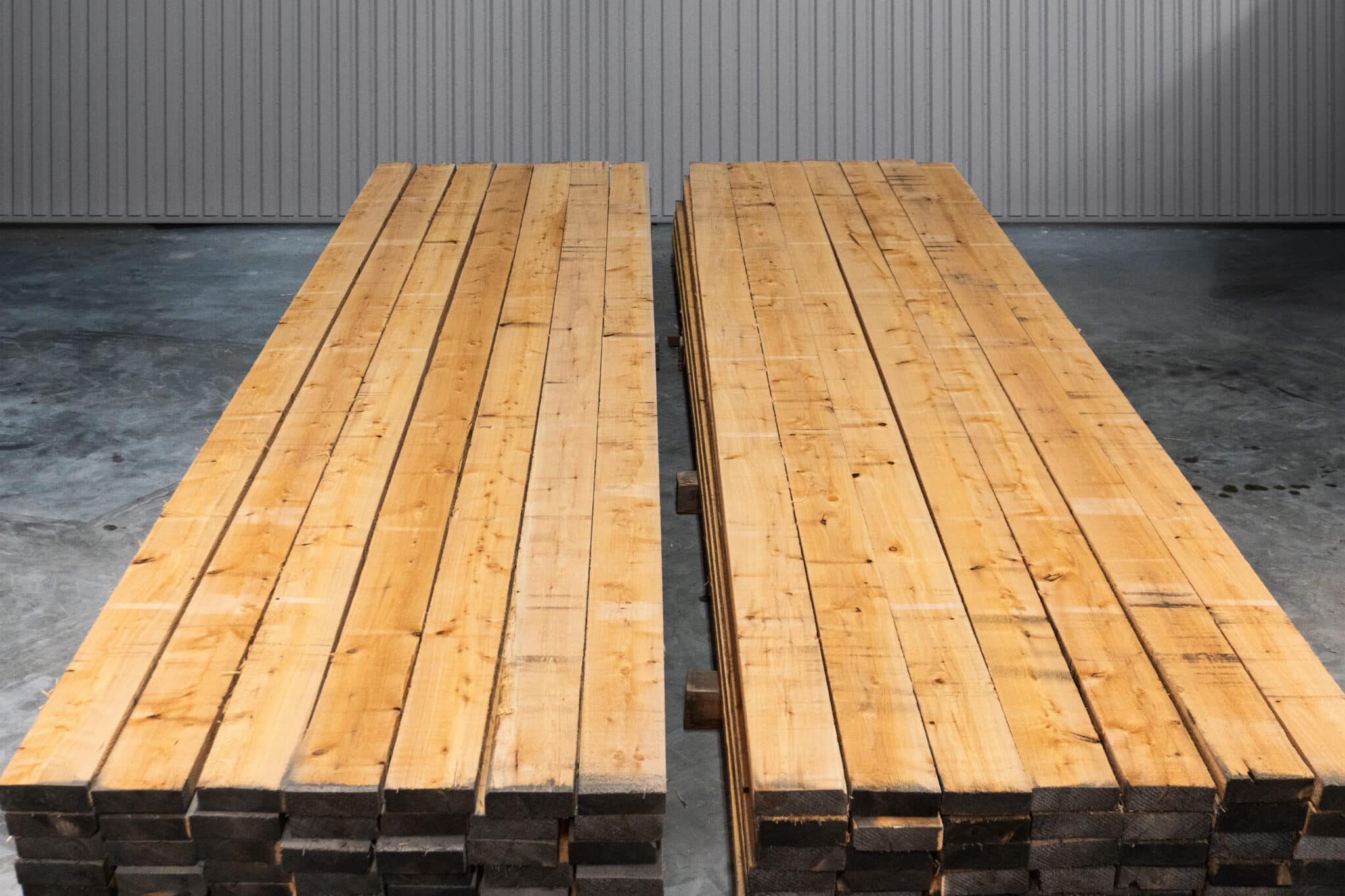 6" STK American White Cedar 05