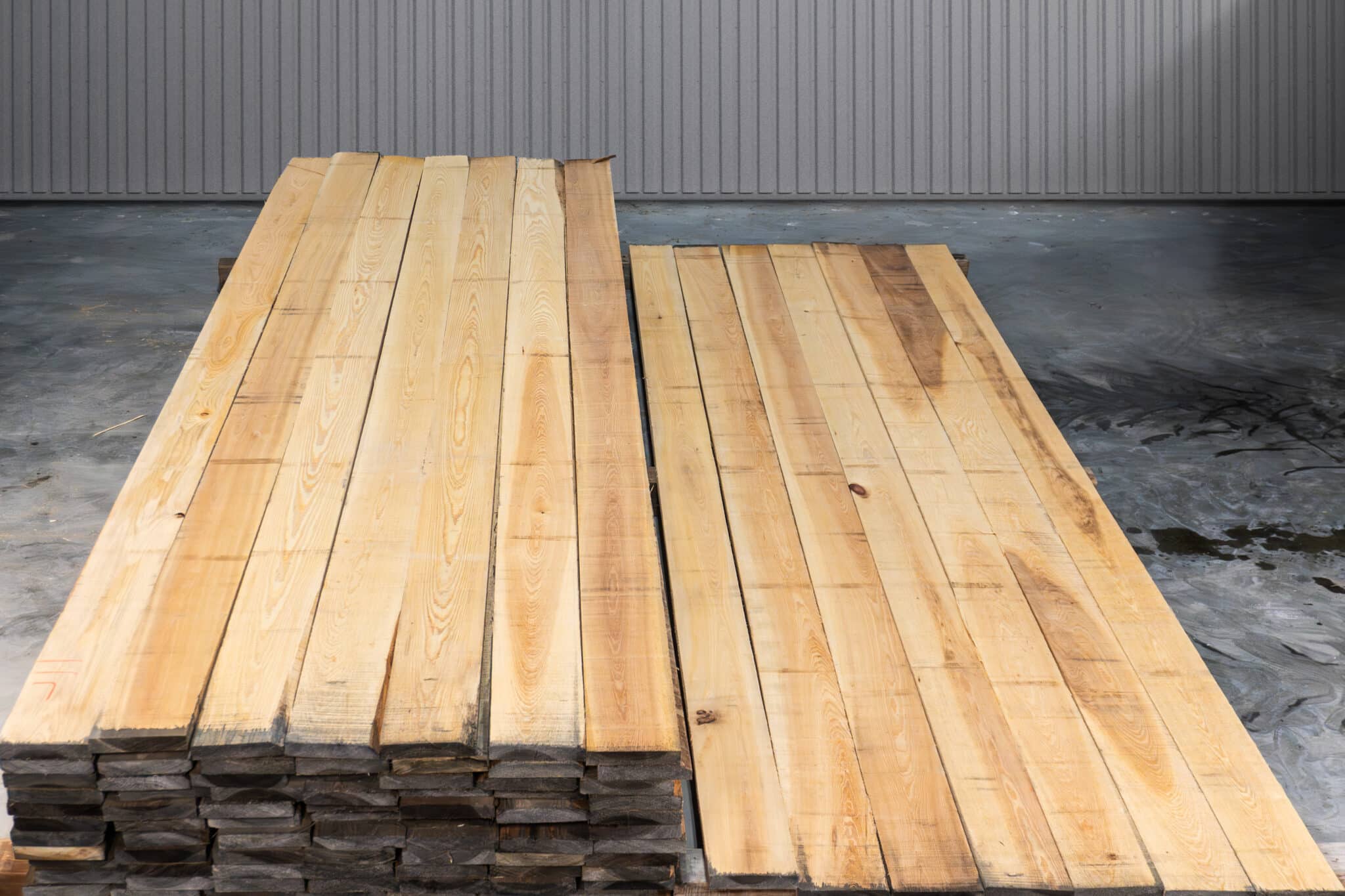 6" Select American Cypress 01