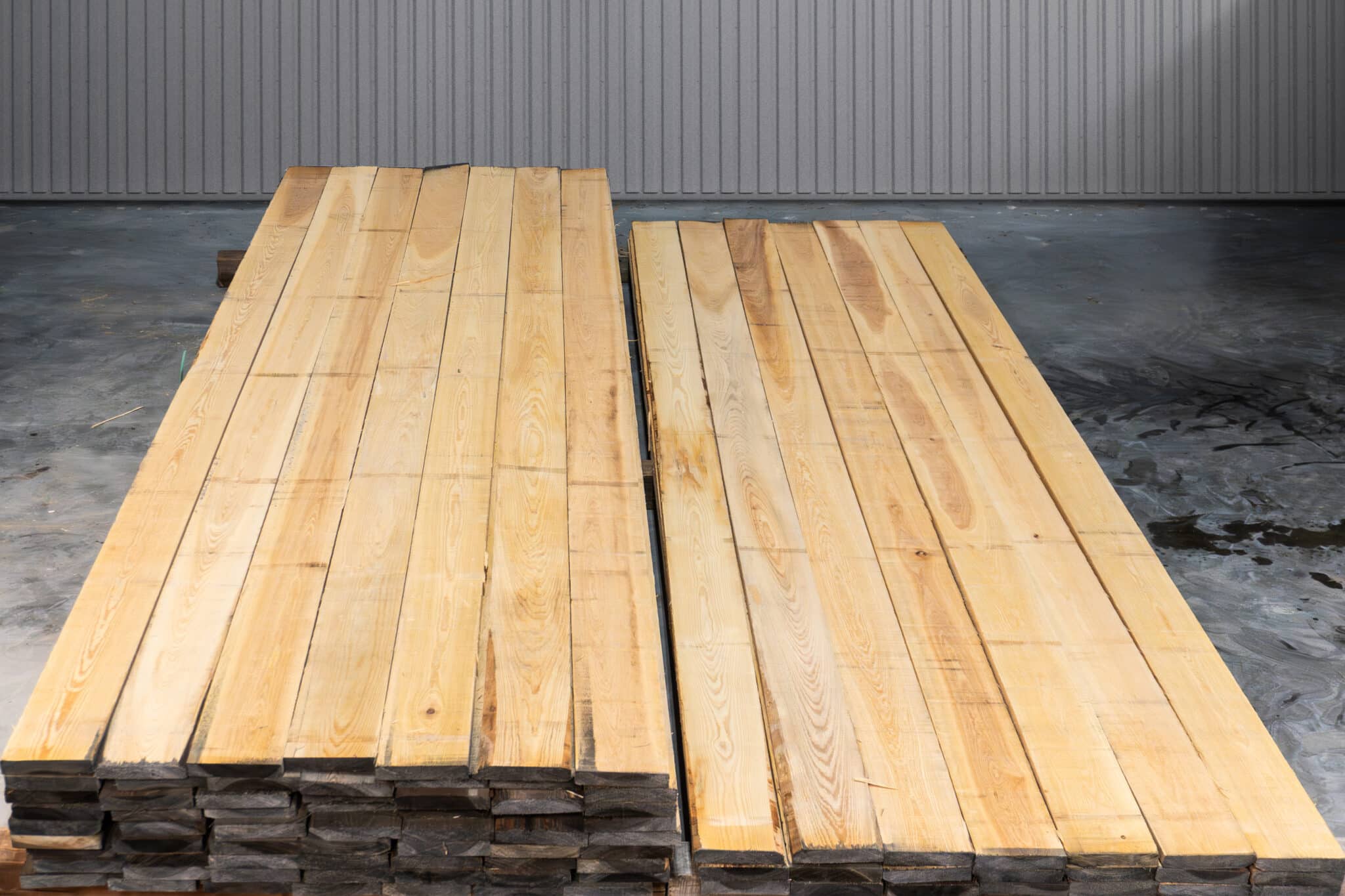 6" Select American Cypress 02