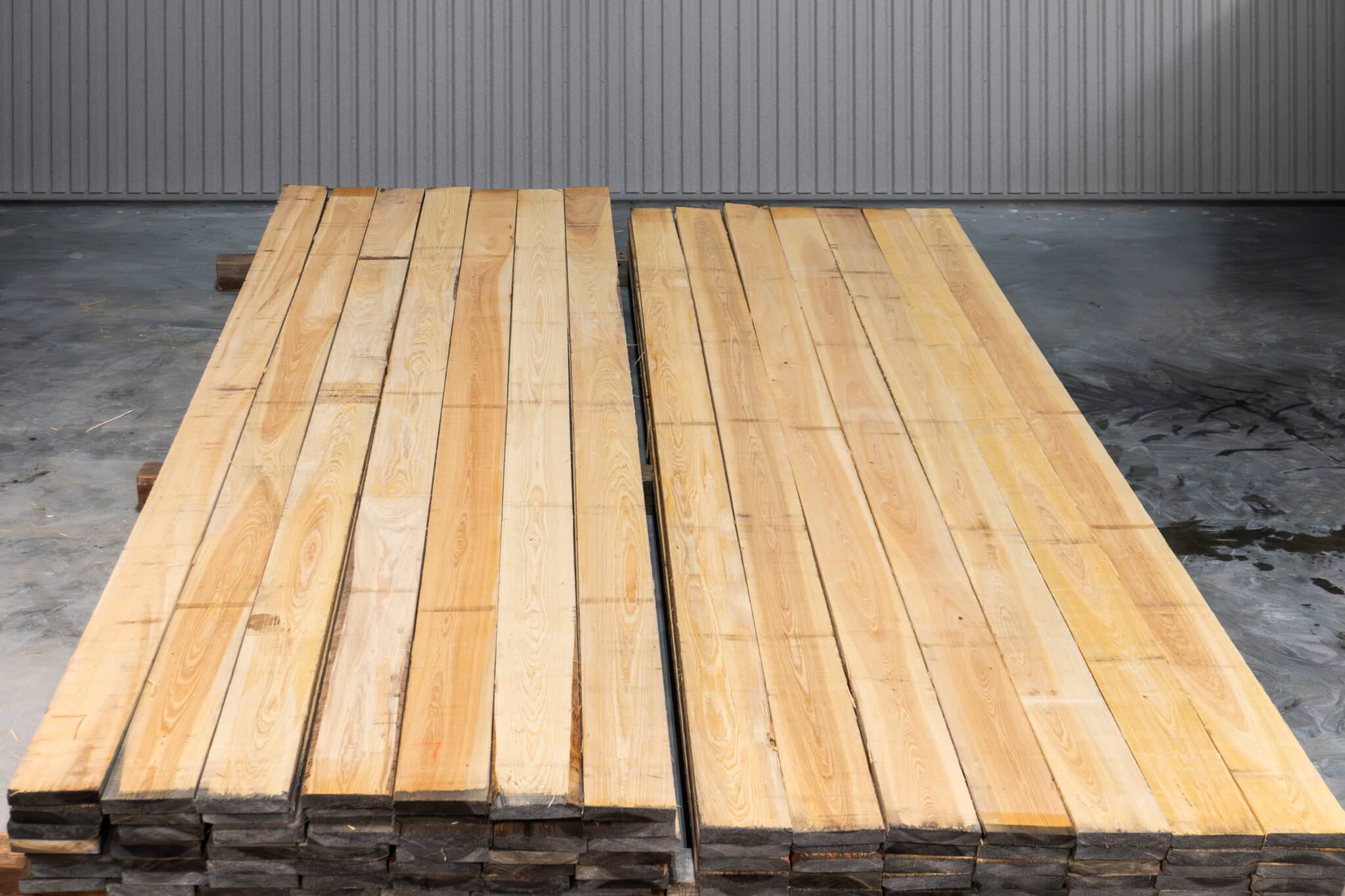 6" Select American Cypress 03