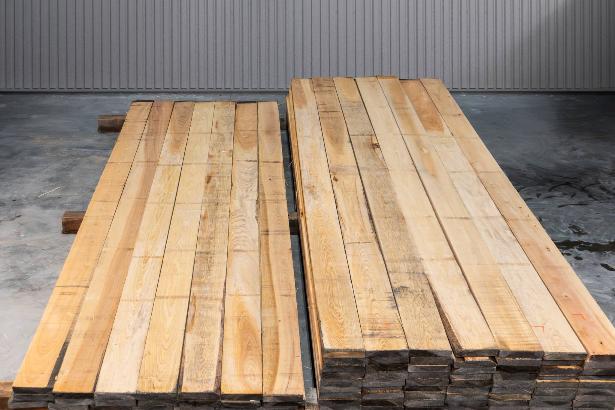 6" Select American Cypress 05