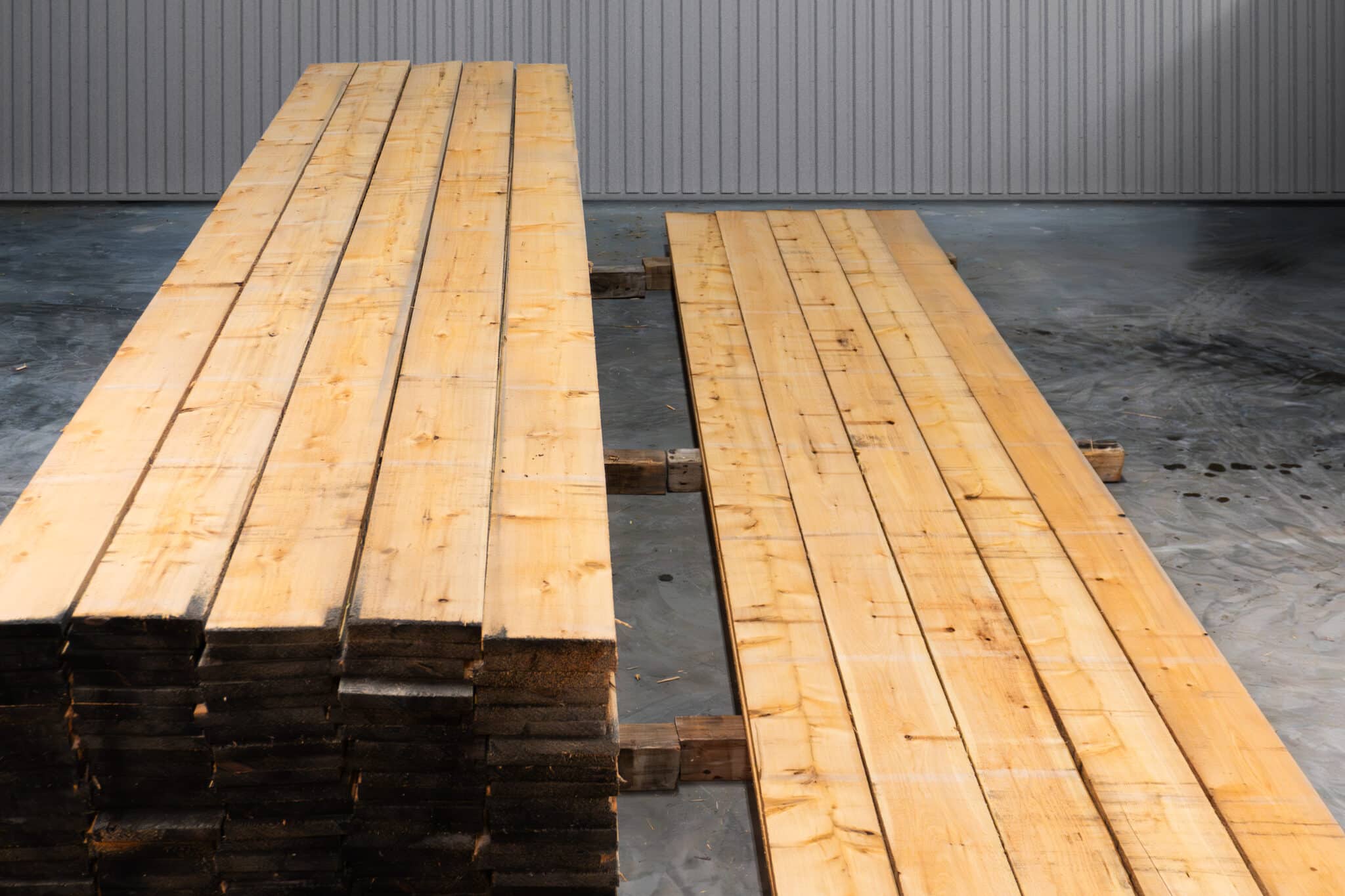 8" STK American White Cedar 01