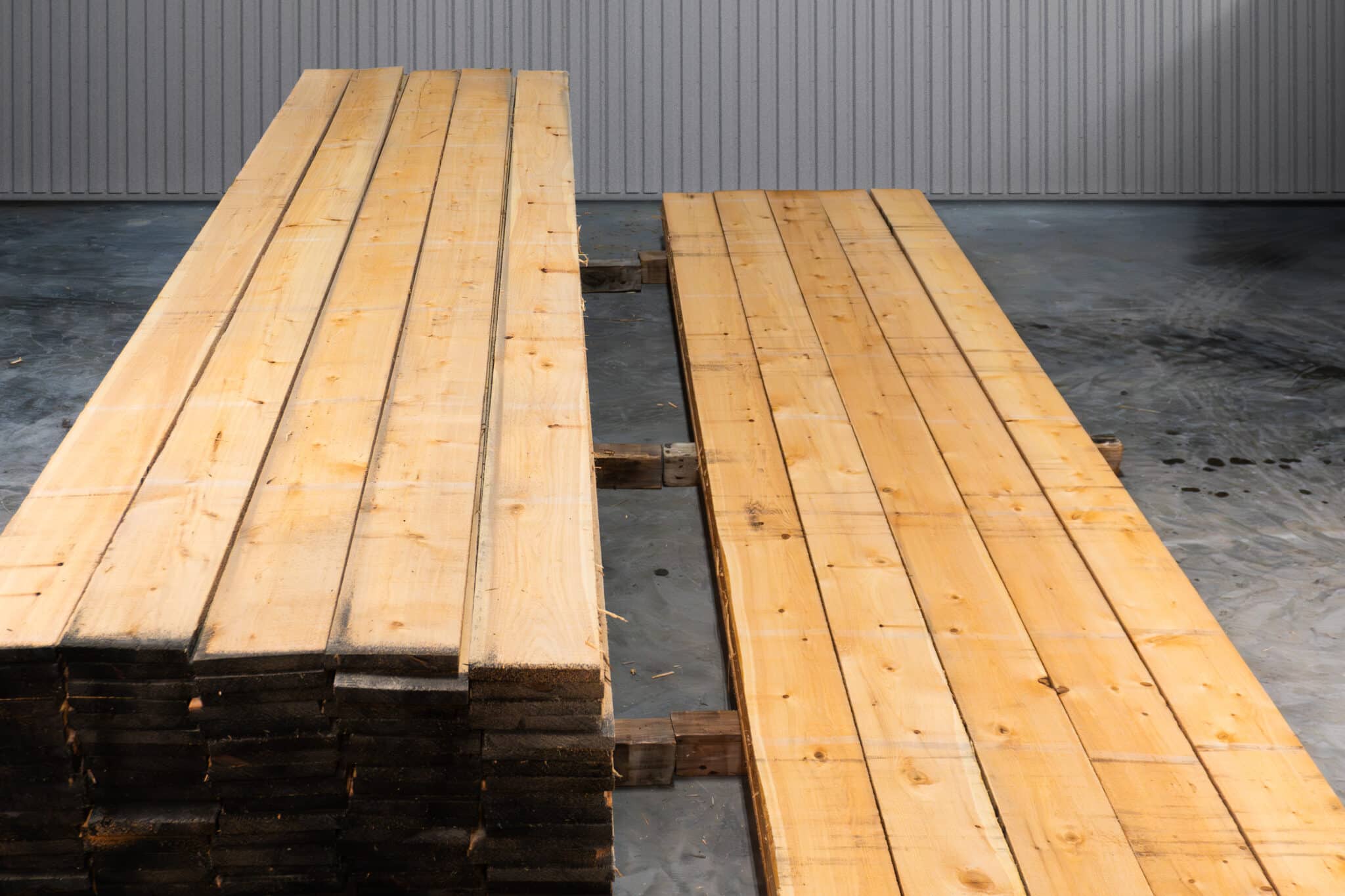 8" STK American White Cedar 02