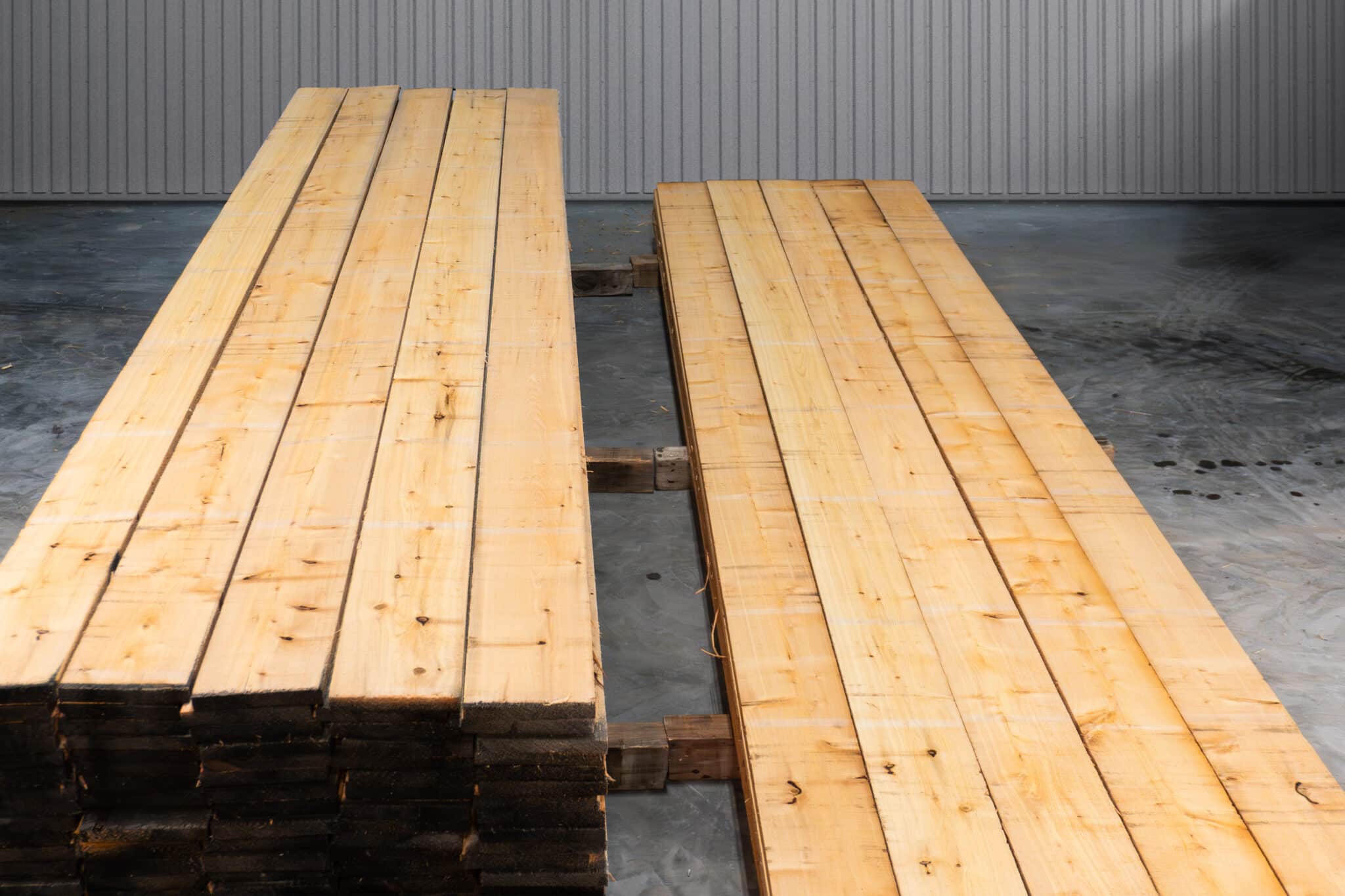8" STK American White Cedar 03