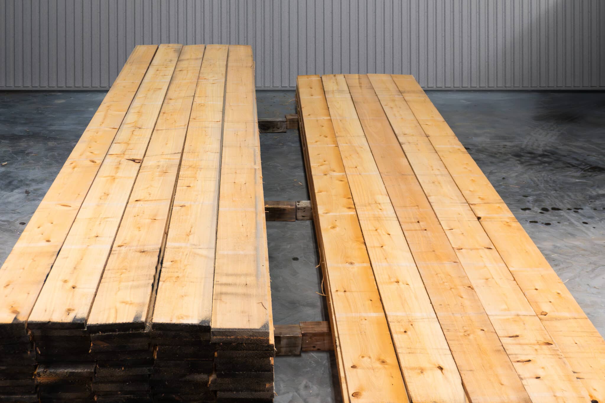 8" STK American White Cedar 04