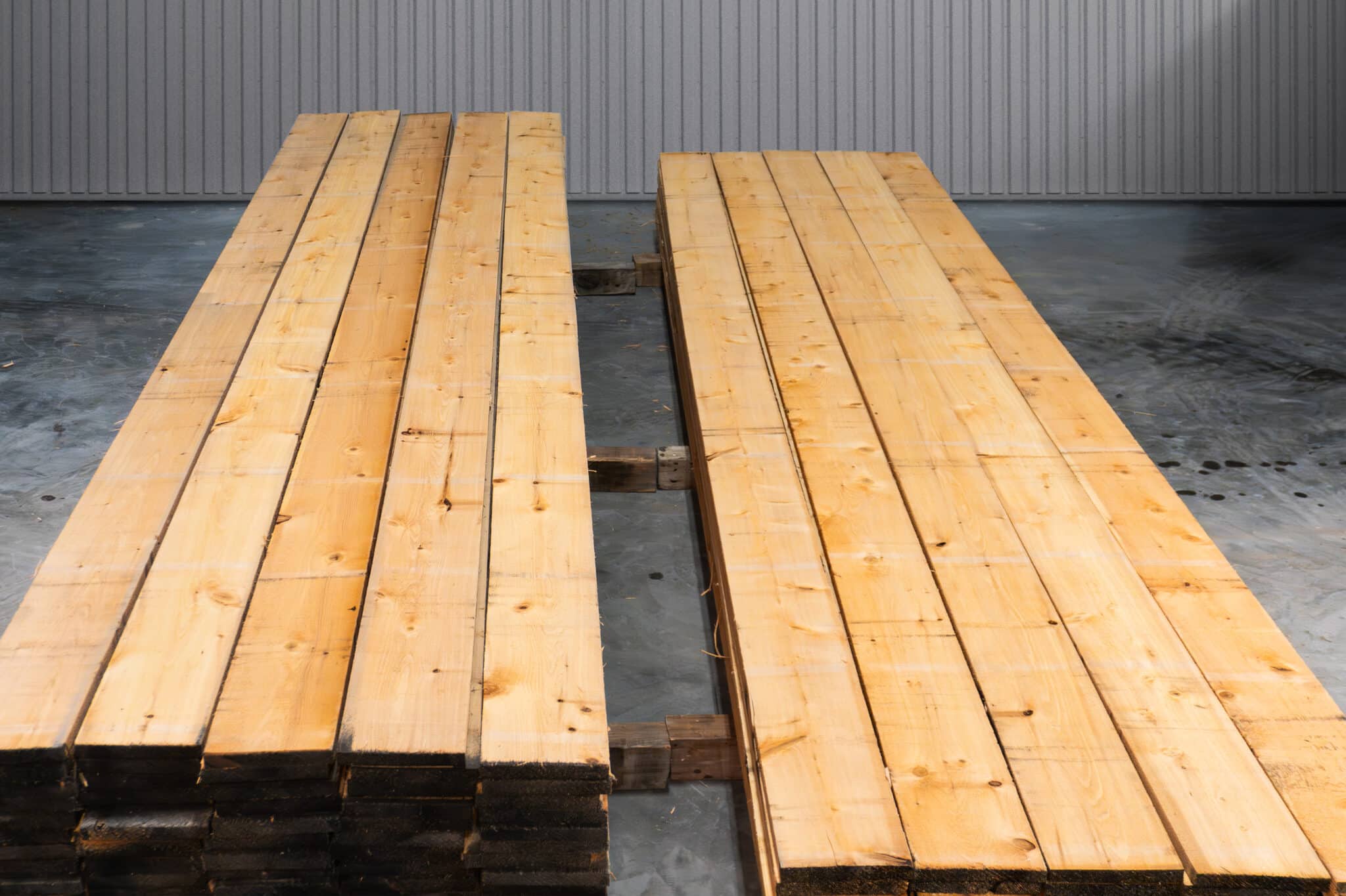 8" STK American White Cedar 05