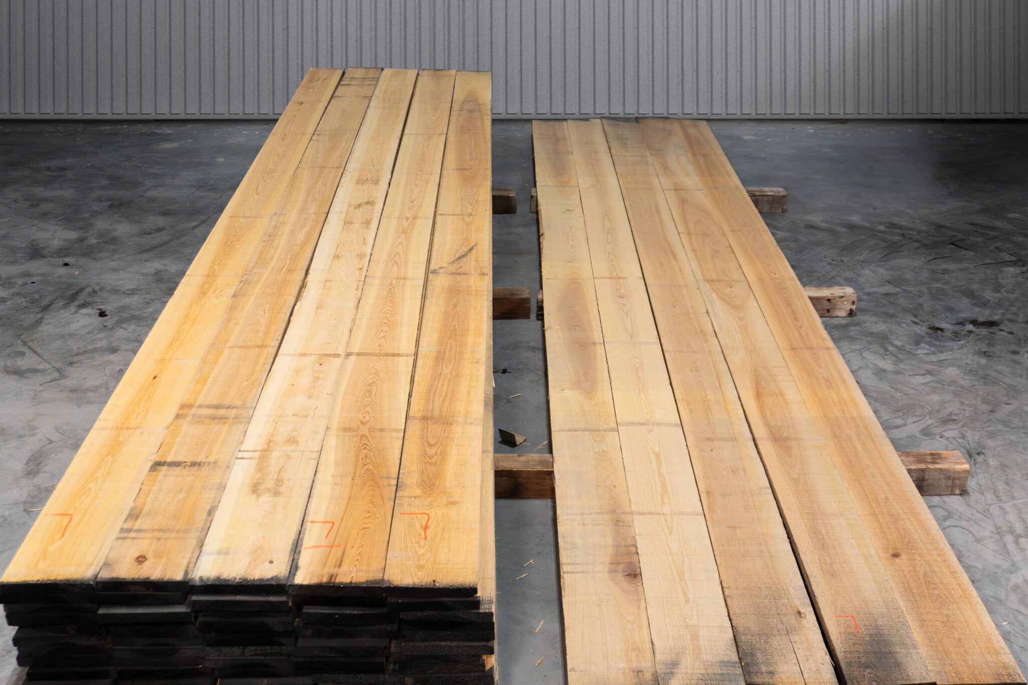 8" Select American Cypress 01