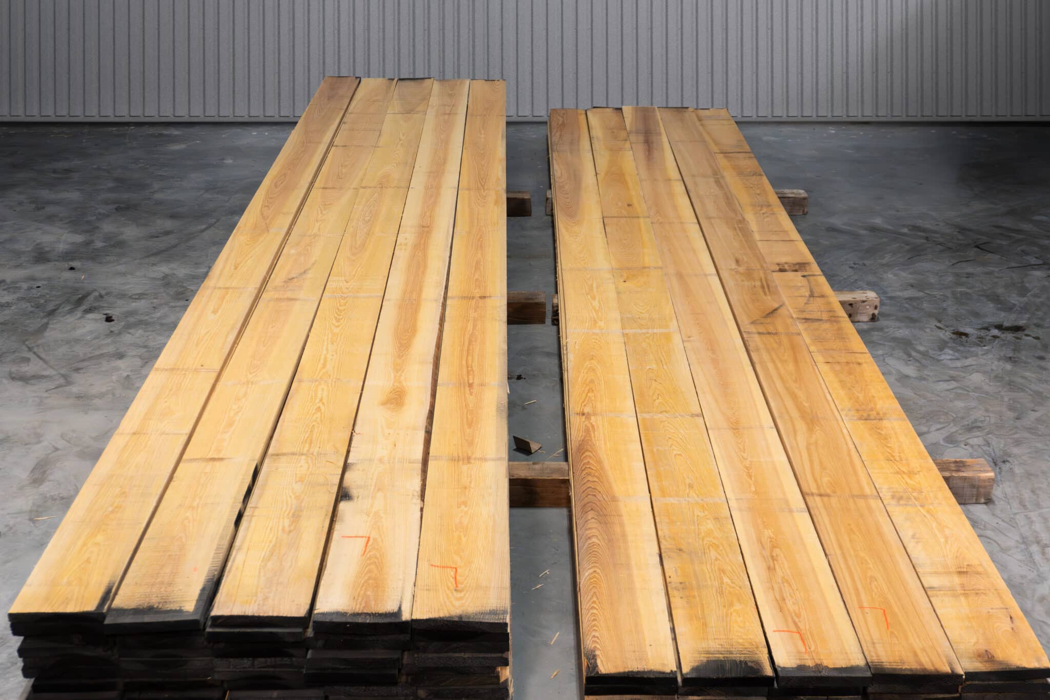 8" Select American Cypress 02