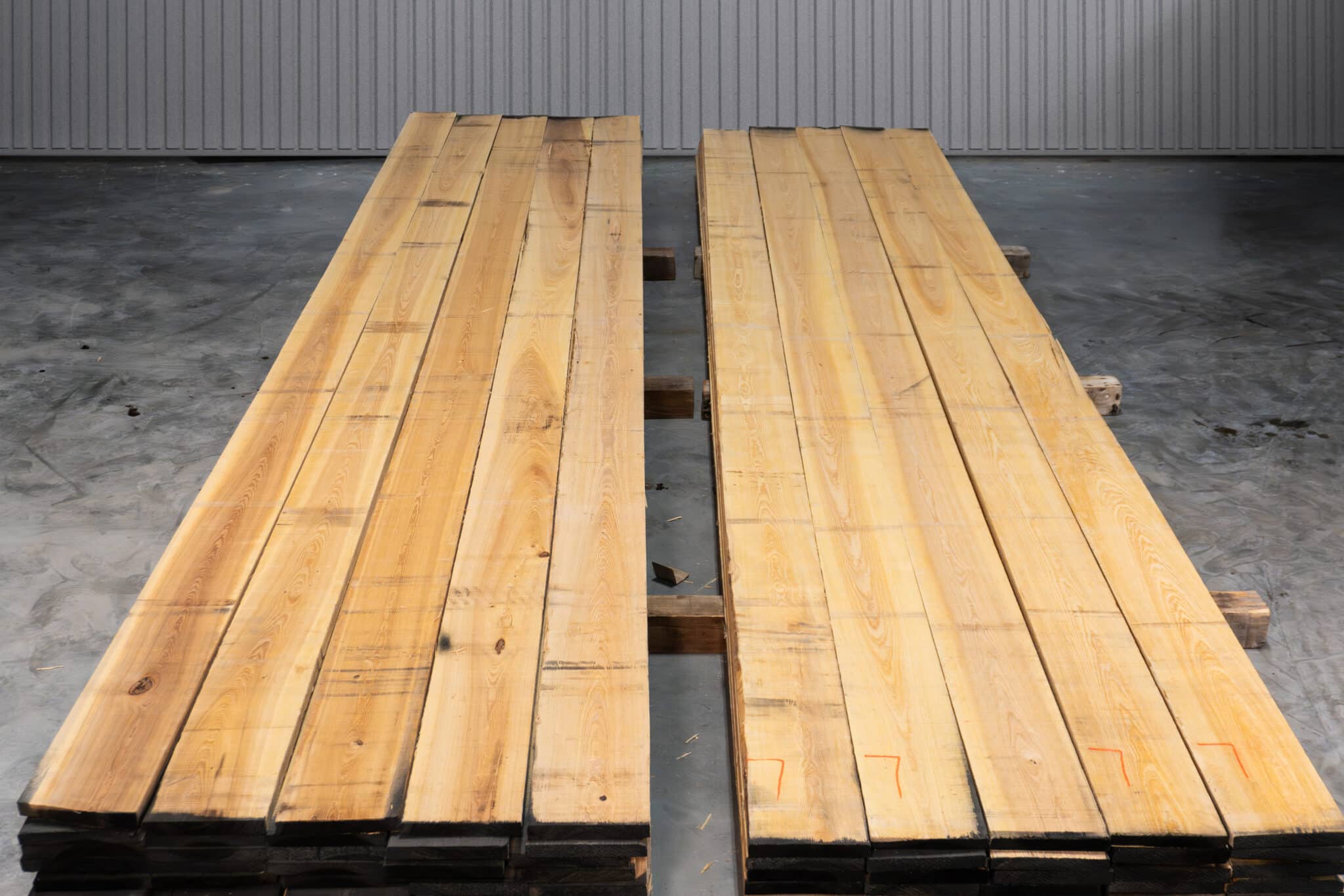 8" Select American Cypress 03