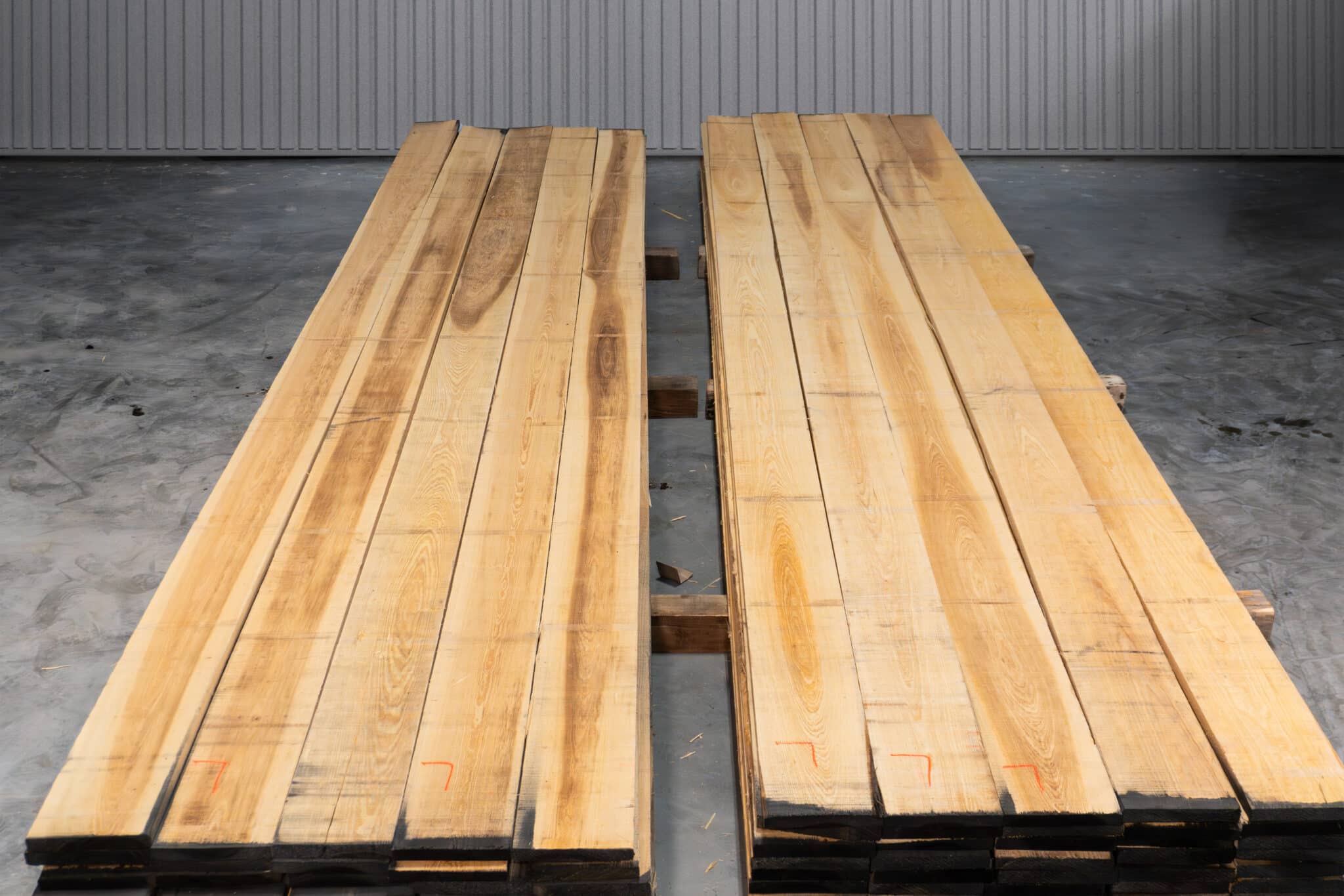 8" Select American Cypress 04