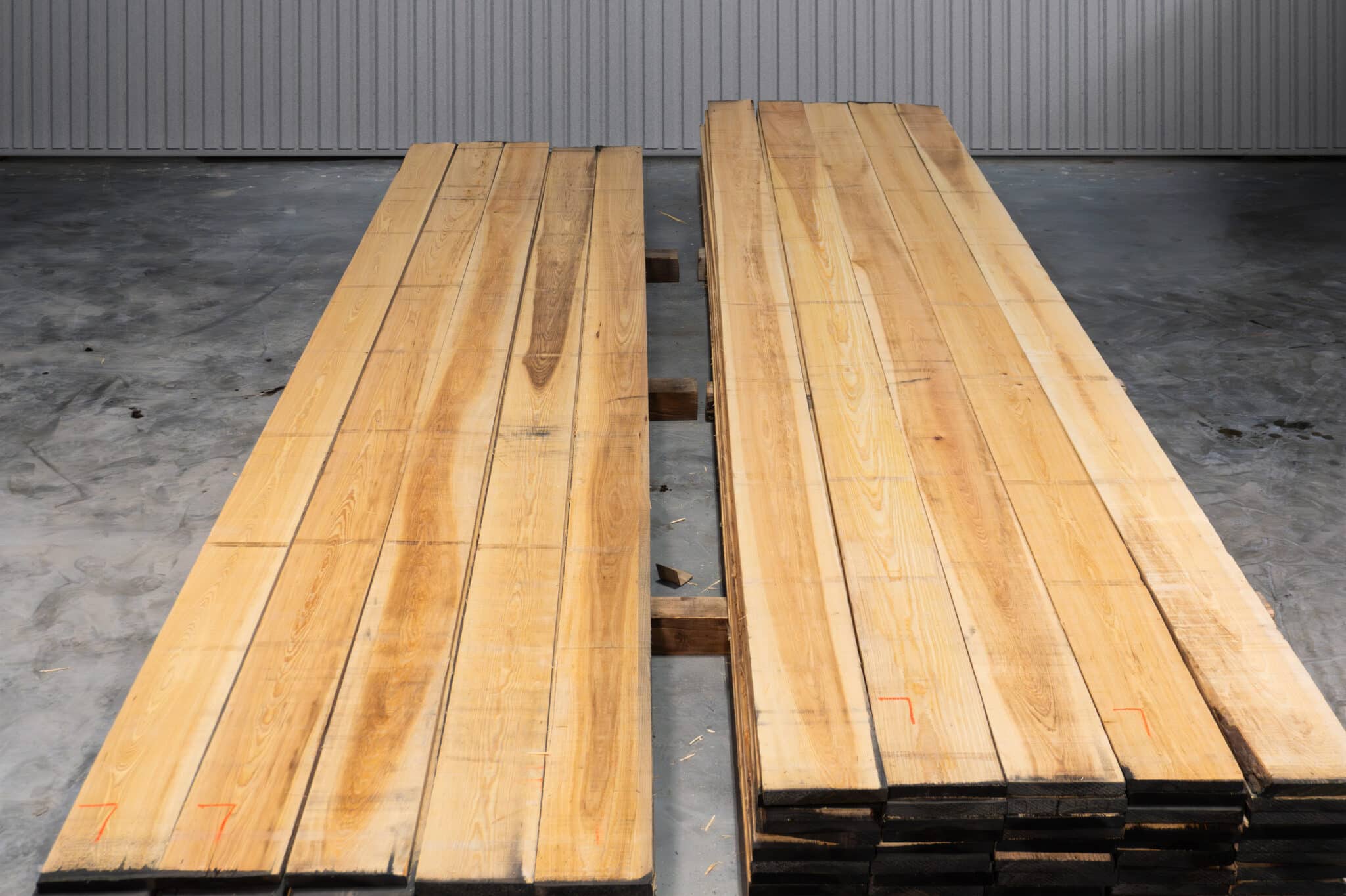 8" Select American Cypress 05