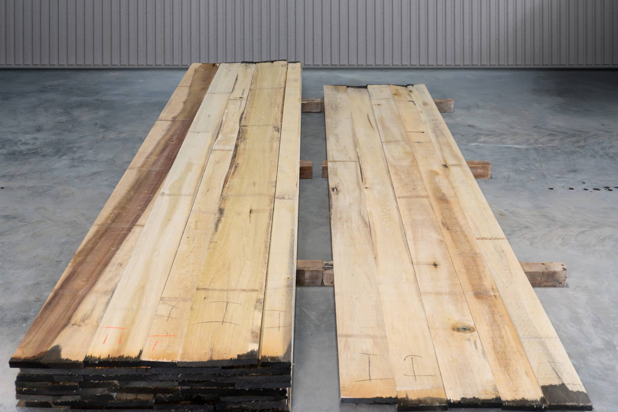 RW 1 Common Stained Poplar 01