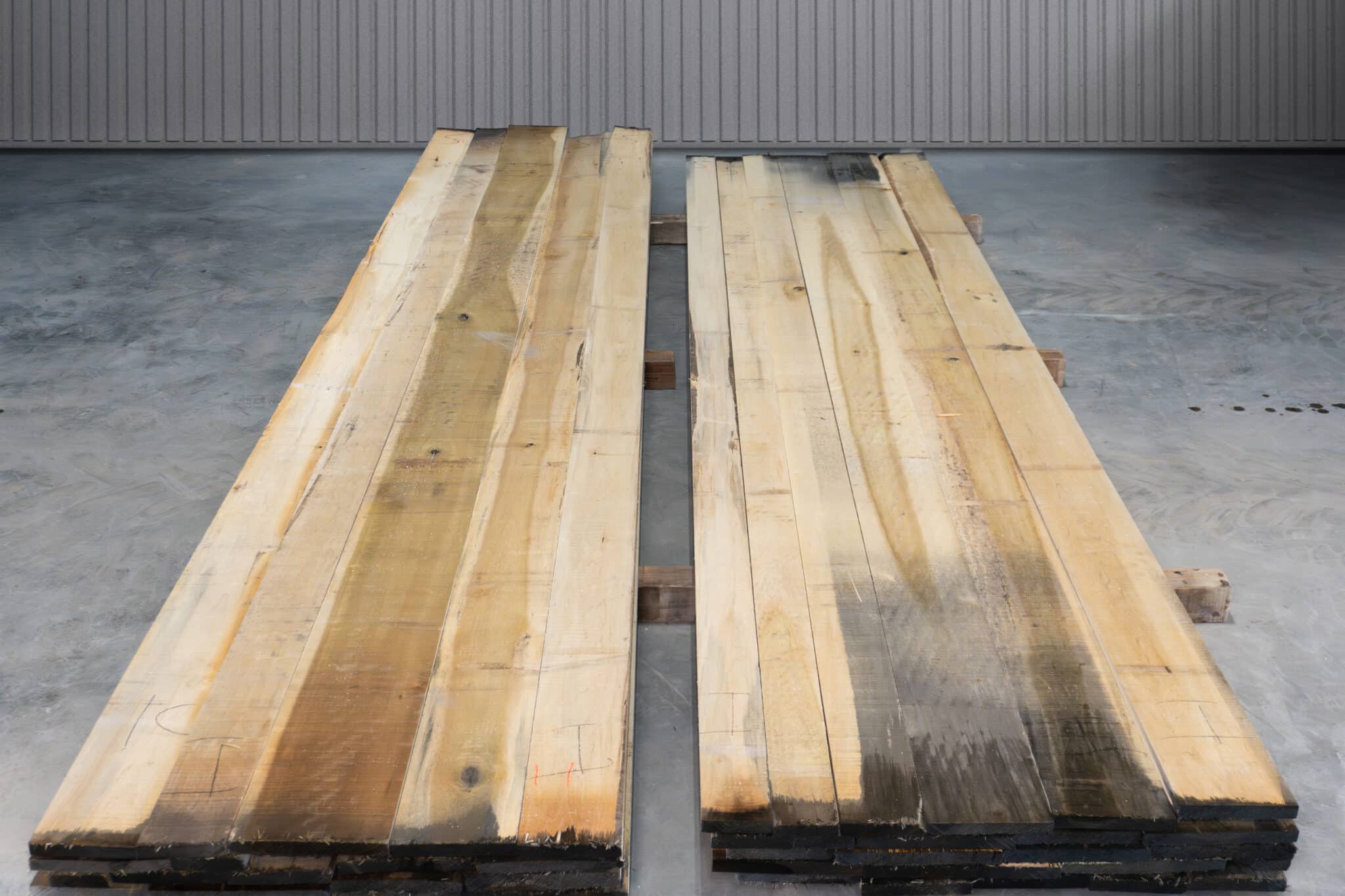 RW 1 Common Stained Poplar 03