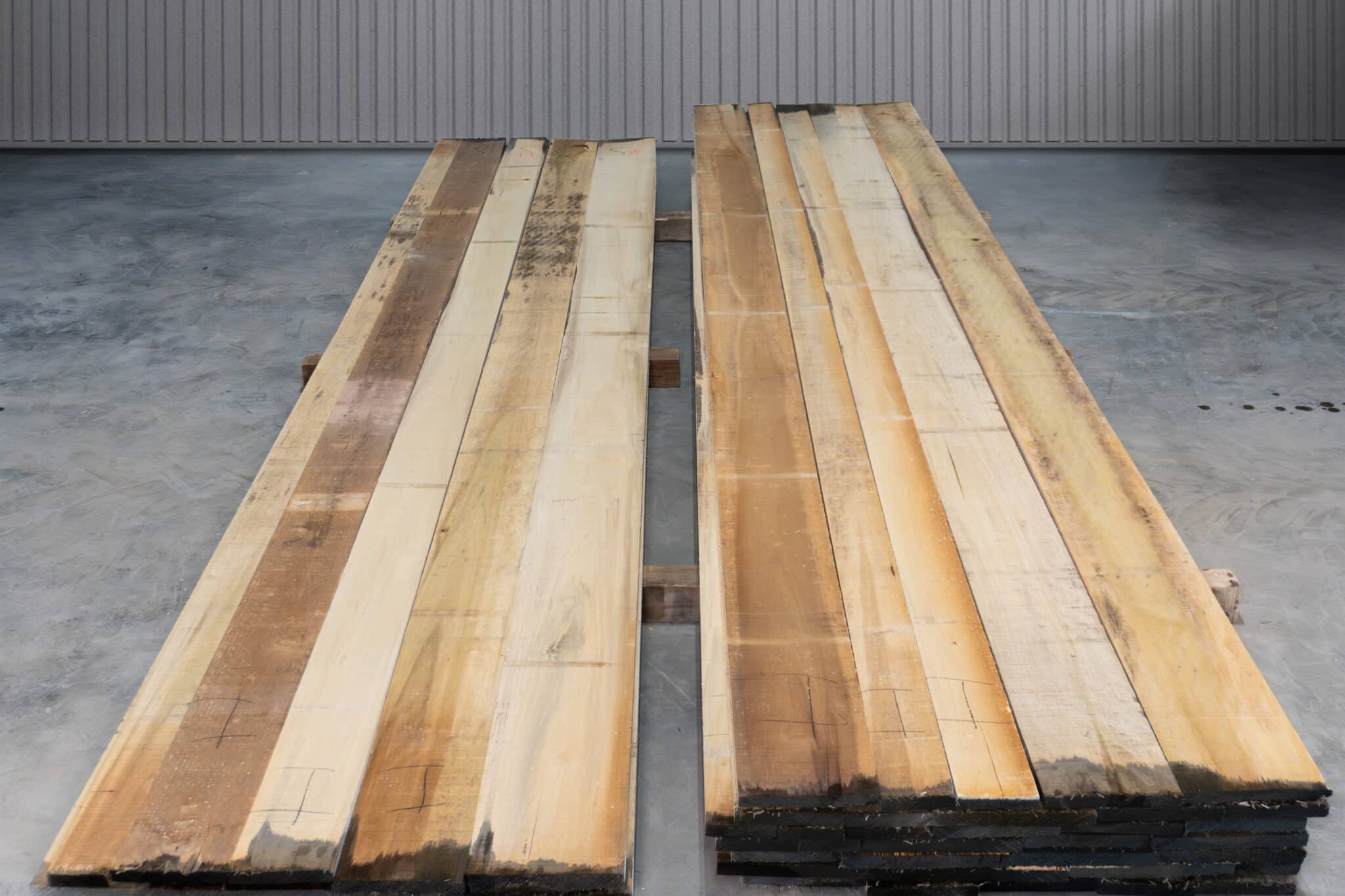 RW 1 Common Stained Poplar 04