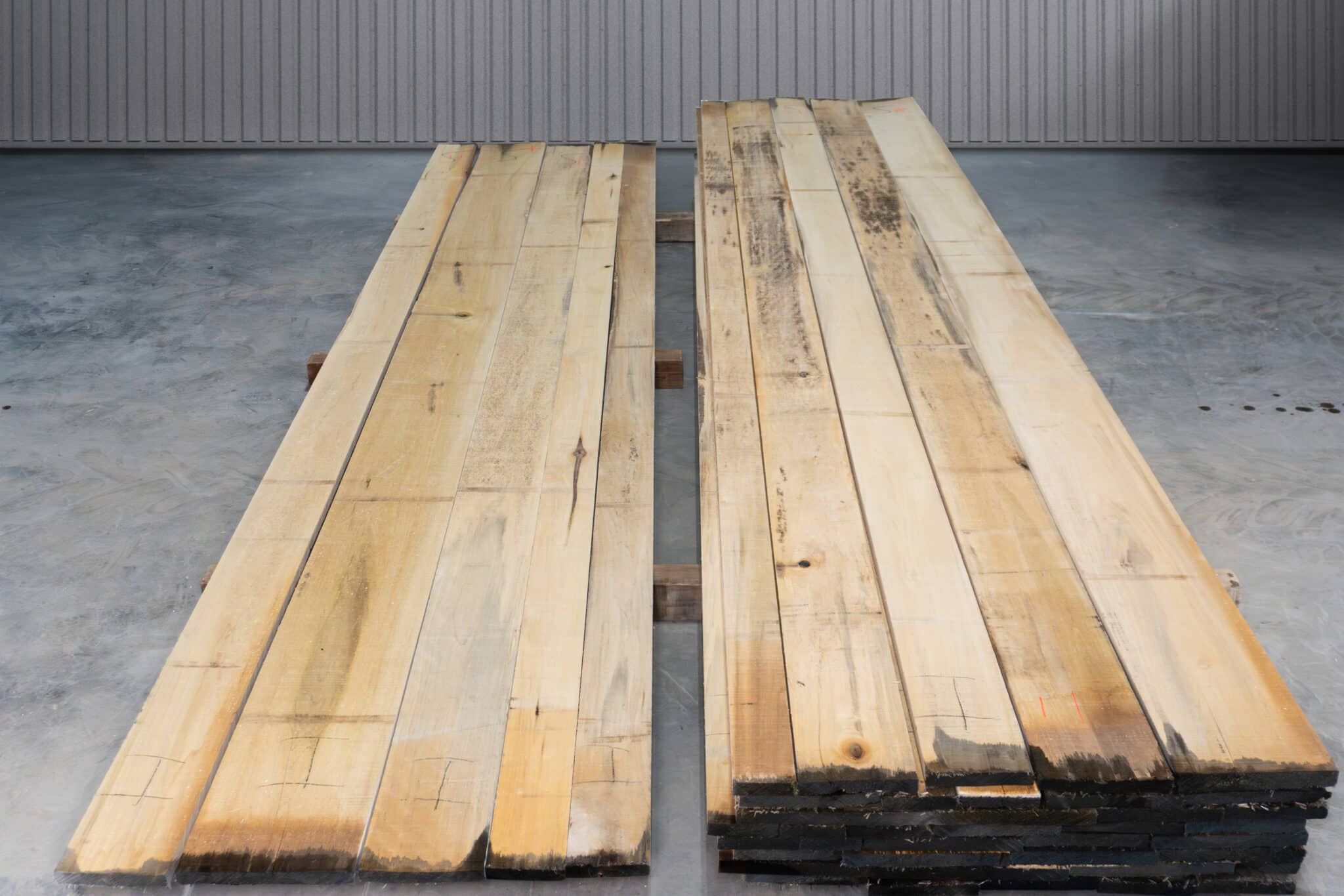 RW 1 Common Stained Poplar 05
