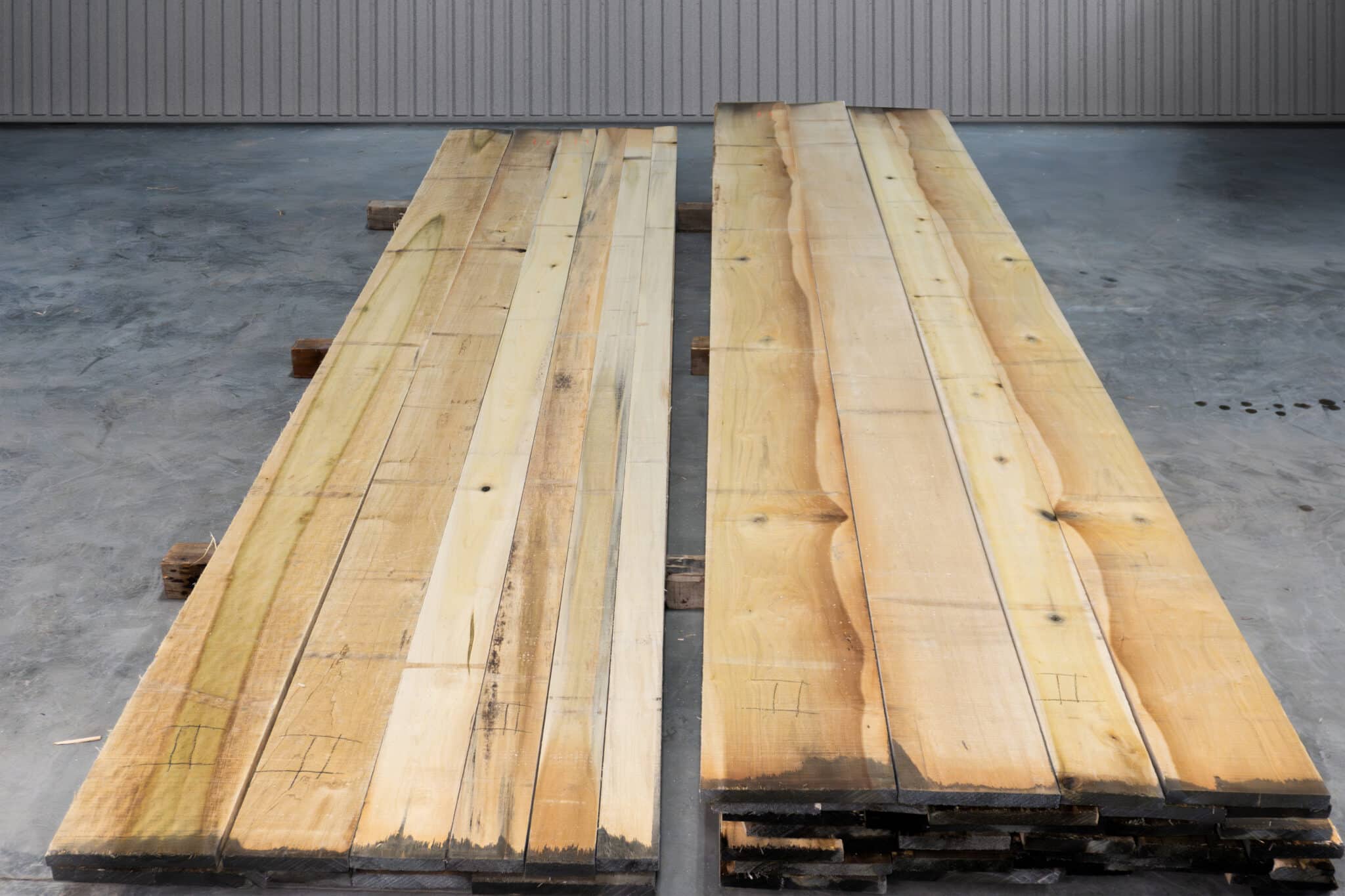 RW 2AB Poplar 04